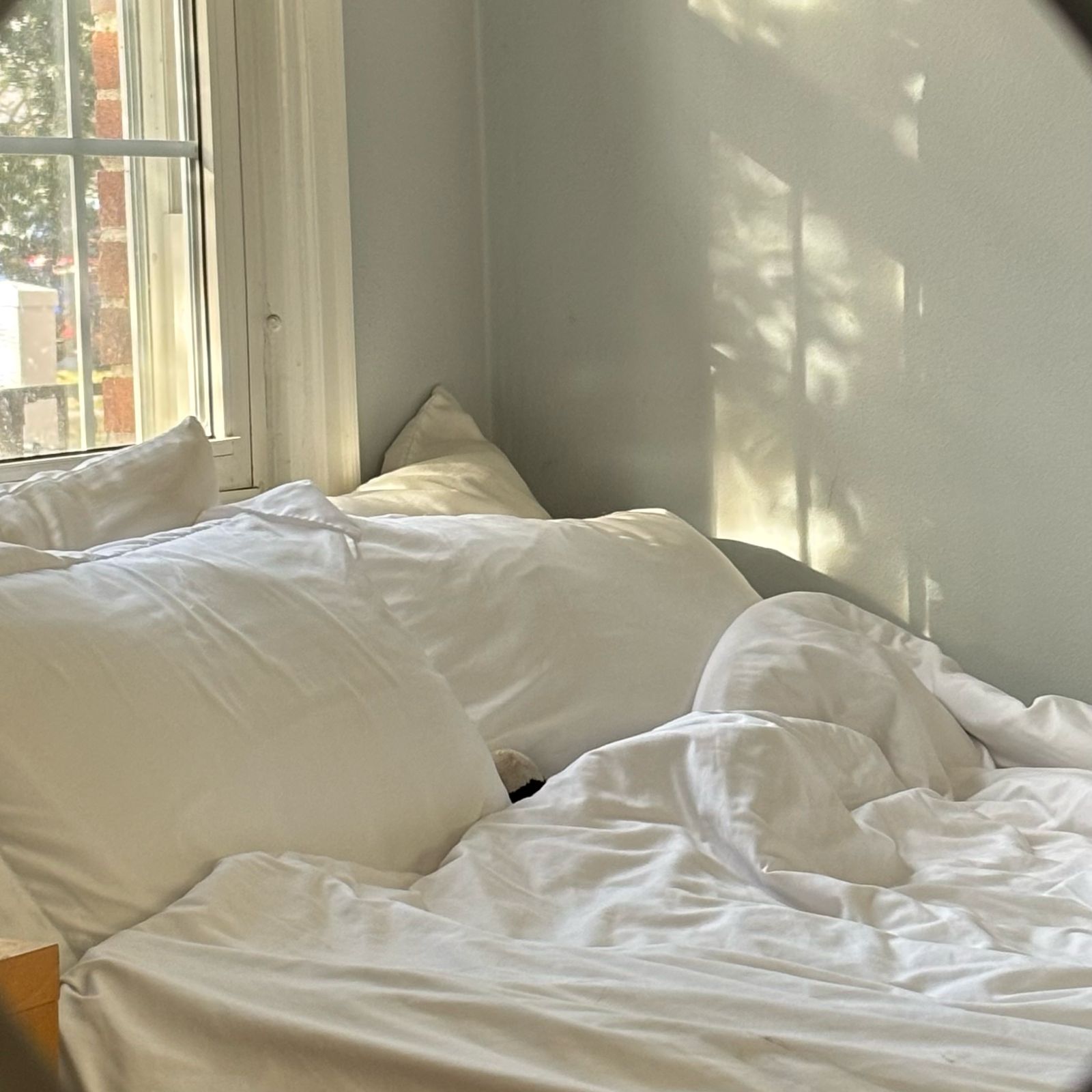A bright SEREMA guest room with carefully arranged details